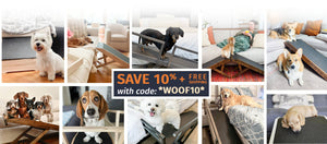 DoggoRamps dog ramp sale summer 10%